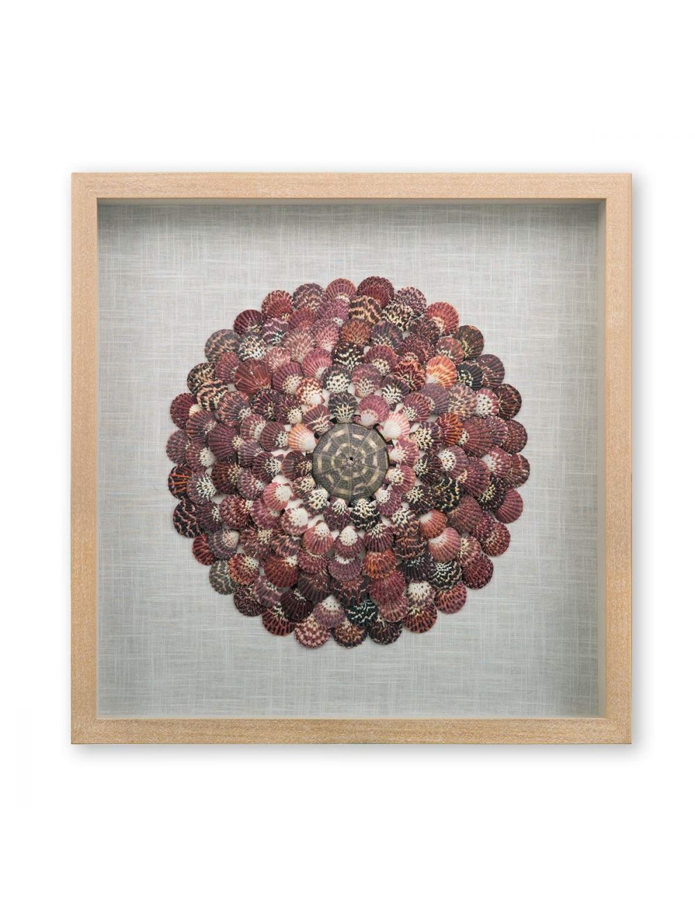 Shell Wall Art